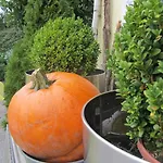 Haus Sonnenblick