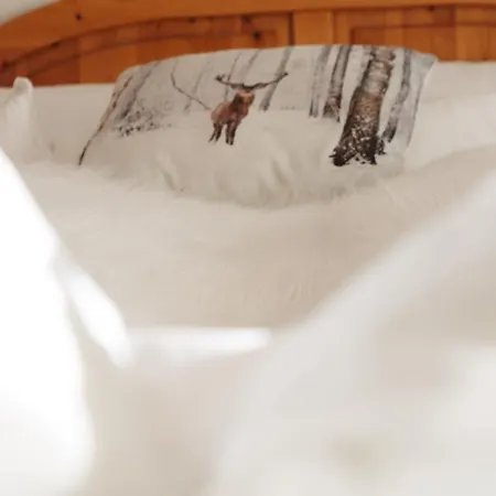 Haus Sonnenblick Апартаменты Лам